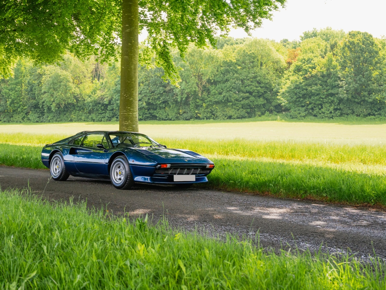 1979 Ferrari 308 GTB - Carburettor - Dry Sump