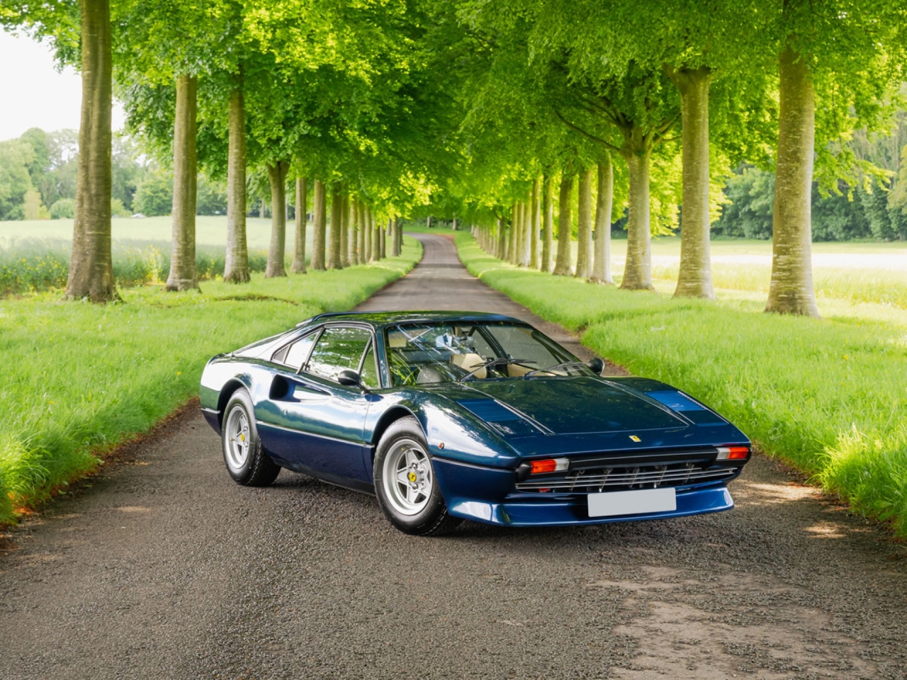 1979 Ferrari 308 GTB - Carburettor - Dry Sump