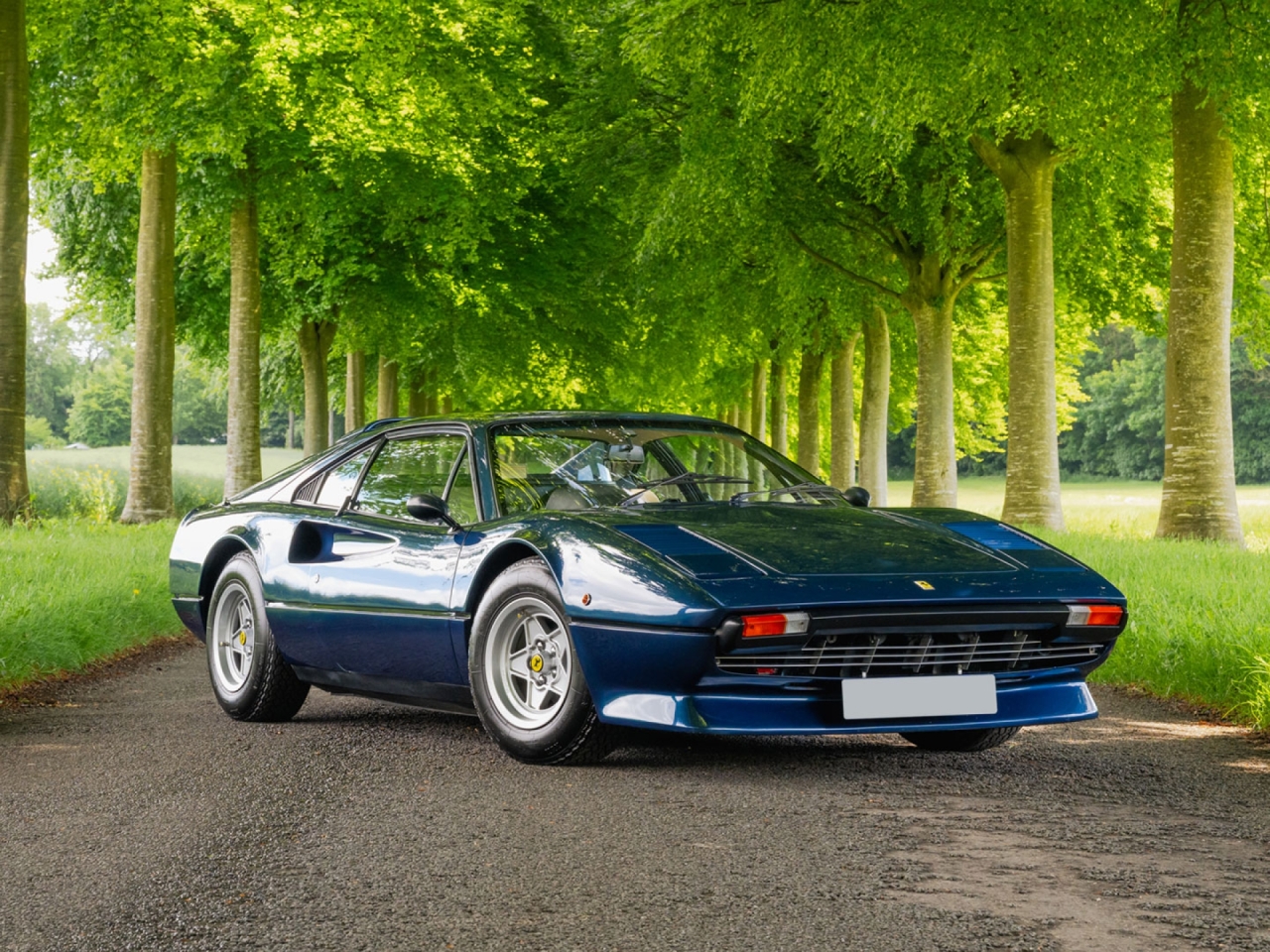 1979 Ferrari 308 GTB - Carburettor - Dry Sump