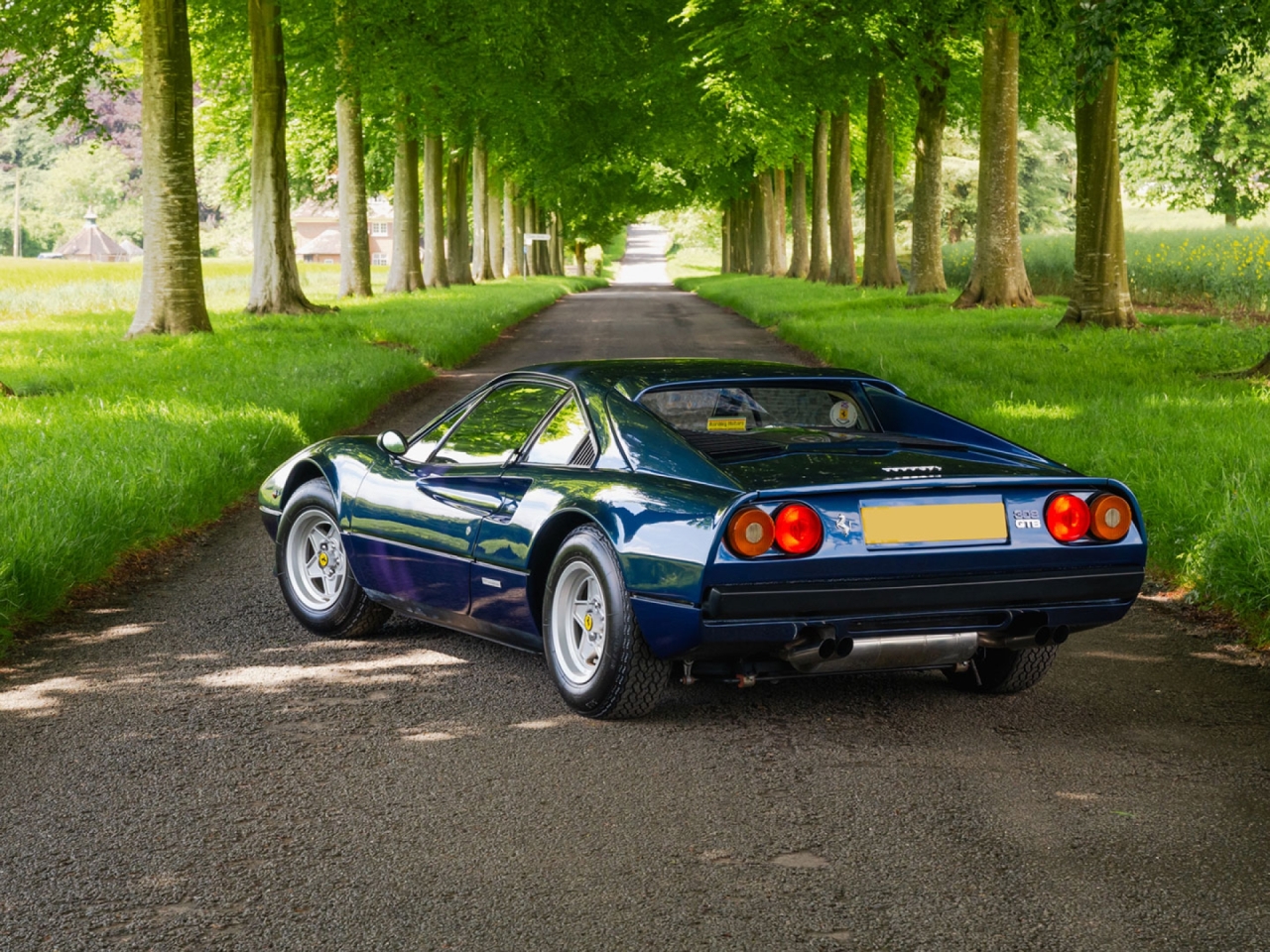 1979 Ferrari 308 GTB - Carburettor - Dry Sump