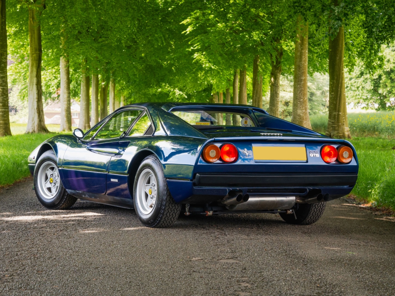 1979 Ferrari 308 GTB - Carburettor - Dry Sump