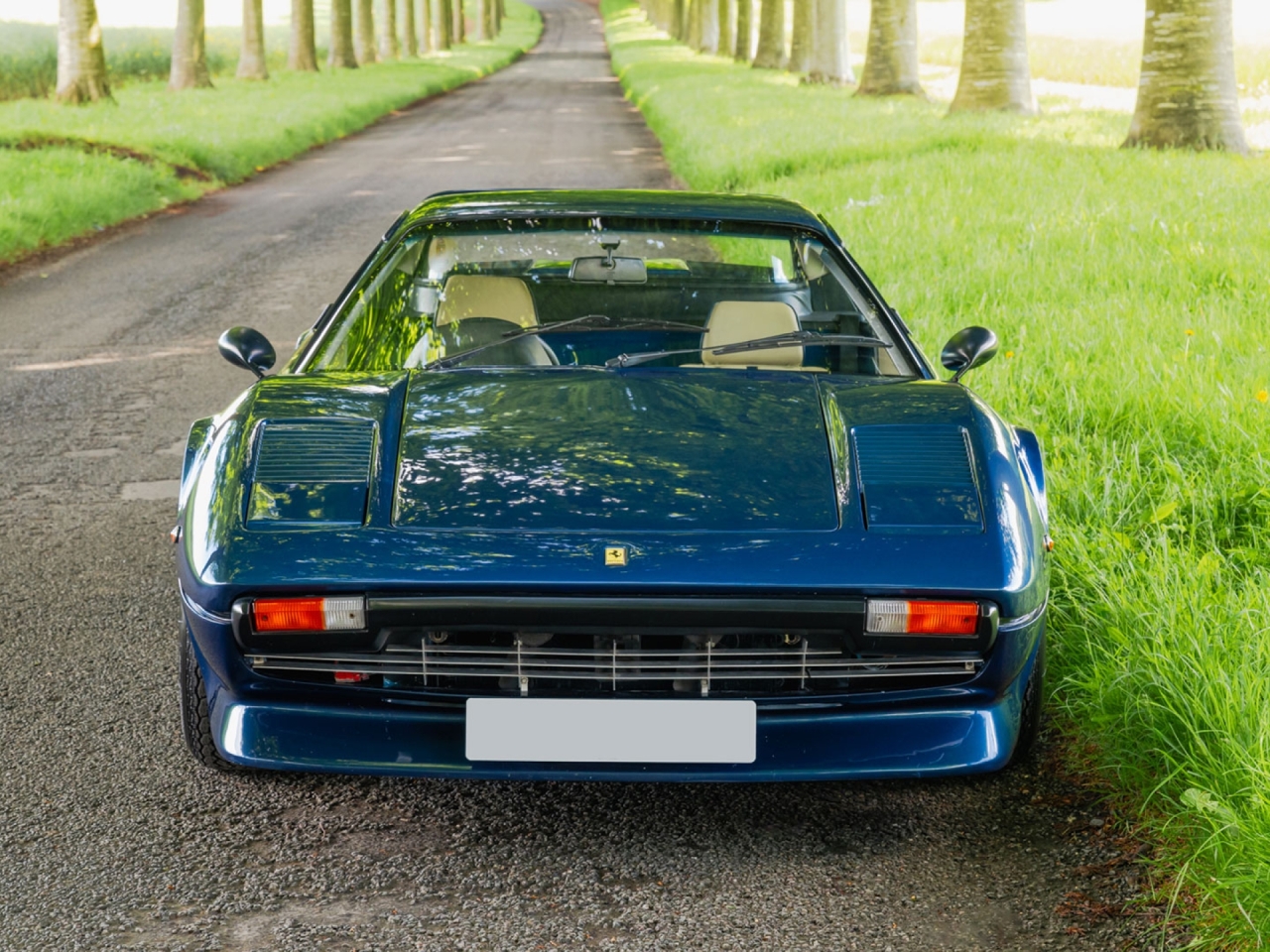 1979 Ferrari 308 GTB - Carburettor - Dry Sump