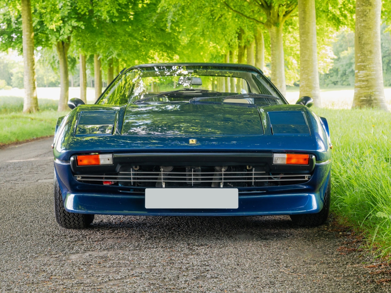 1979 Ferrari 308 GTB - Carburettor - Dry Sump