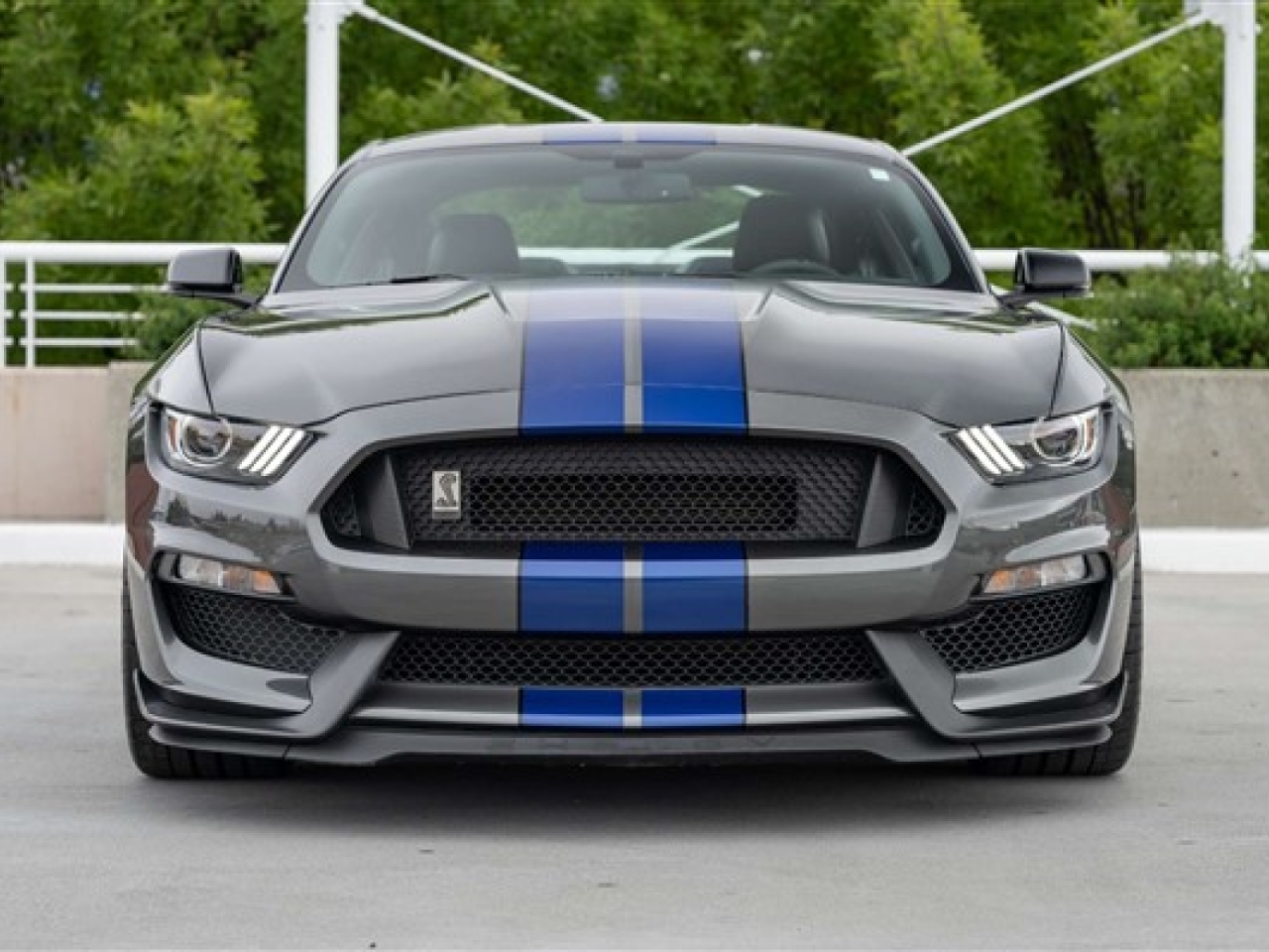 2016 Ford Shelby GT350