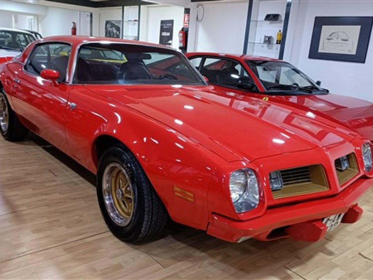 1975 Pontiac Firebird Esprit