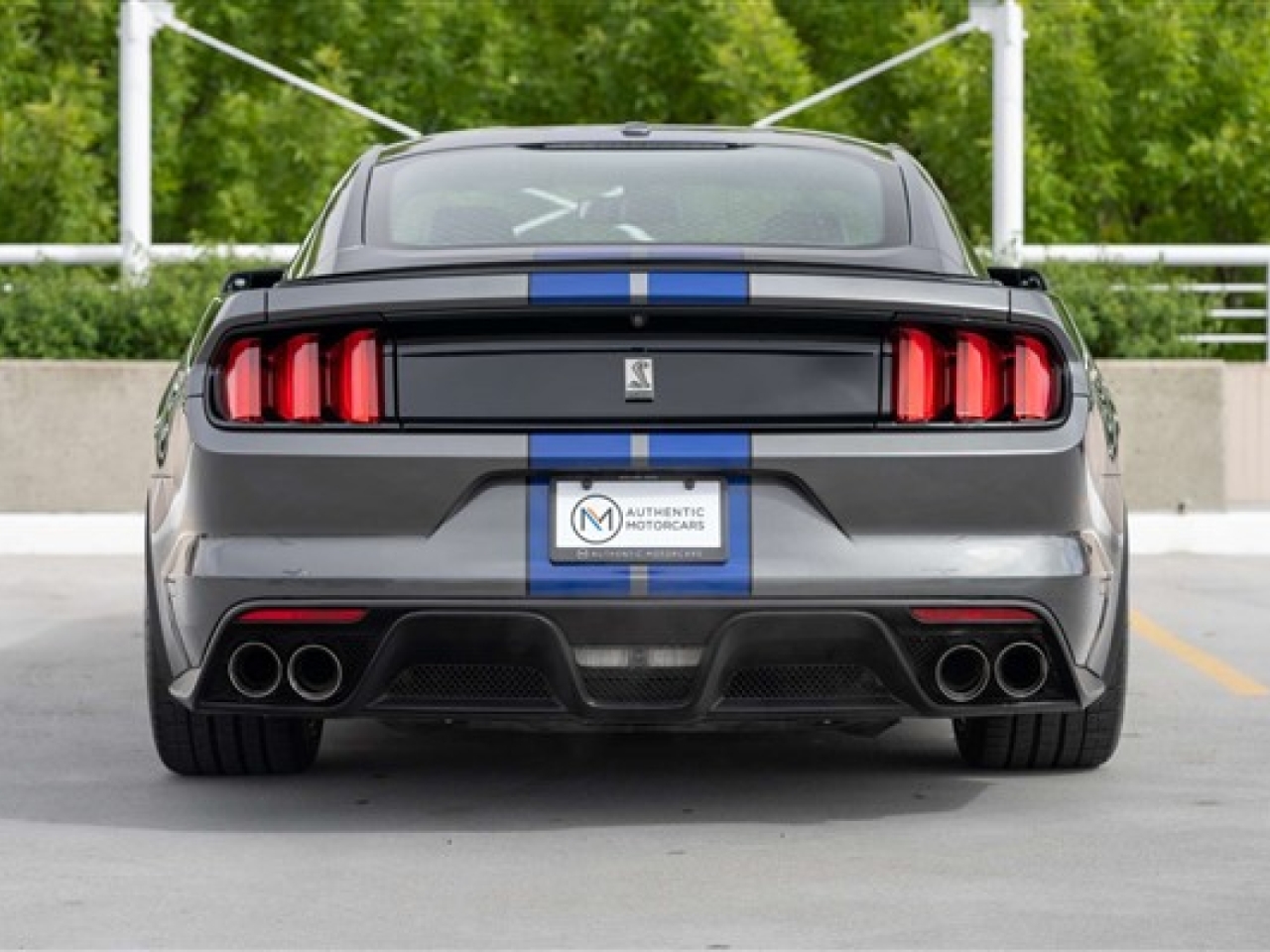 2016 Ford Shelby GT350