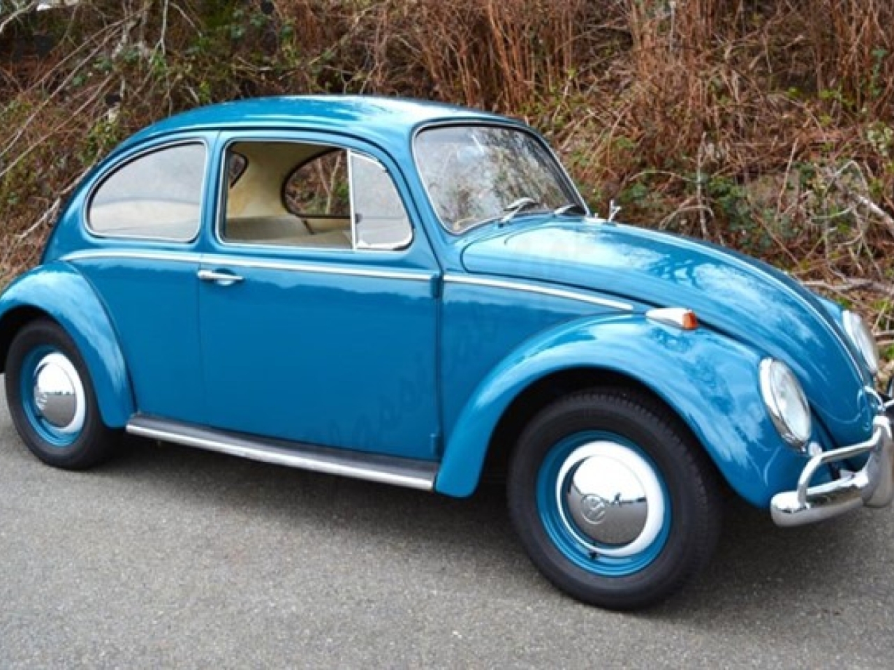 1965 Volkswagen Beetle