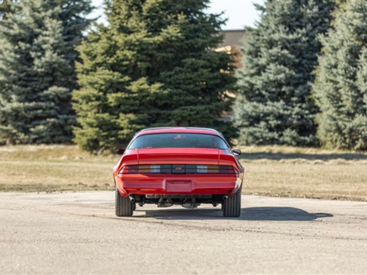 1981 Chevrolet Camaro Z/28