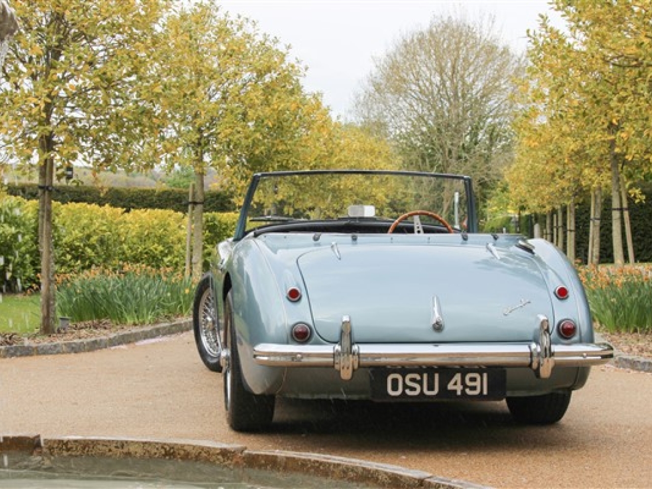 1958 Austin Healey 100/6