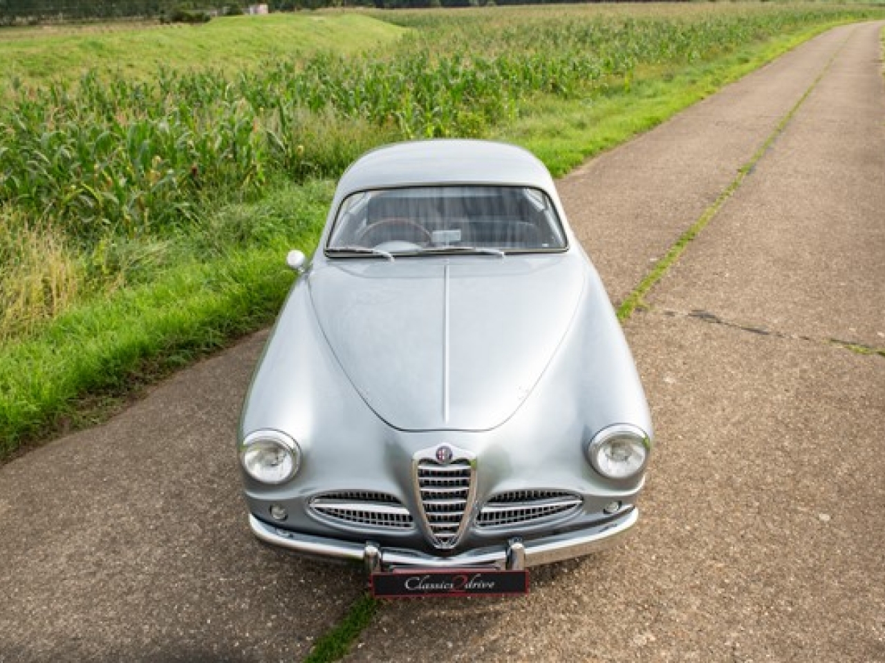 1953 Alfa Romeo 1900 CSS by Touring “Superleggera”