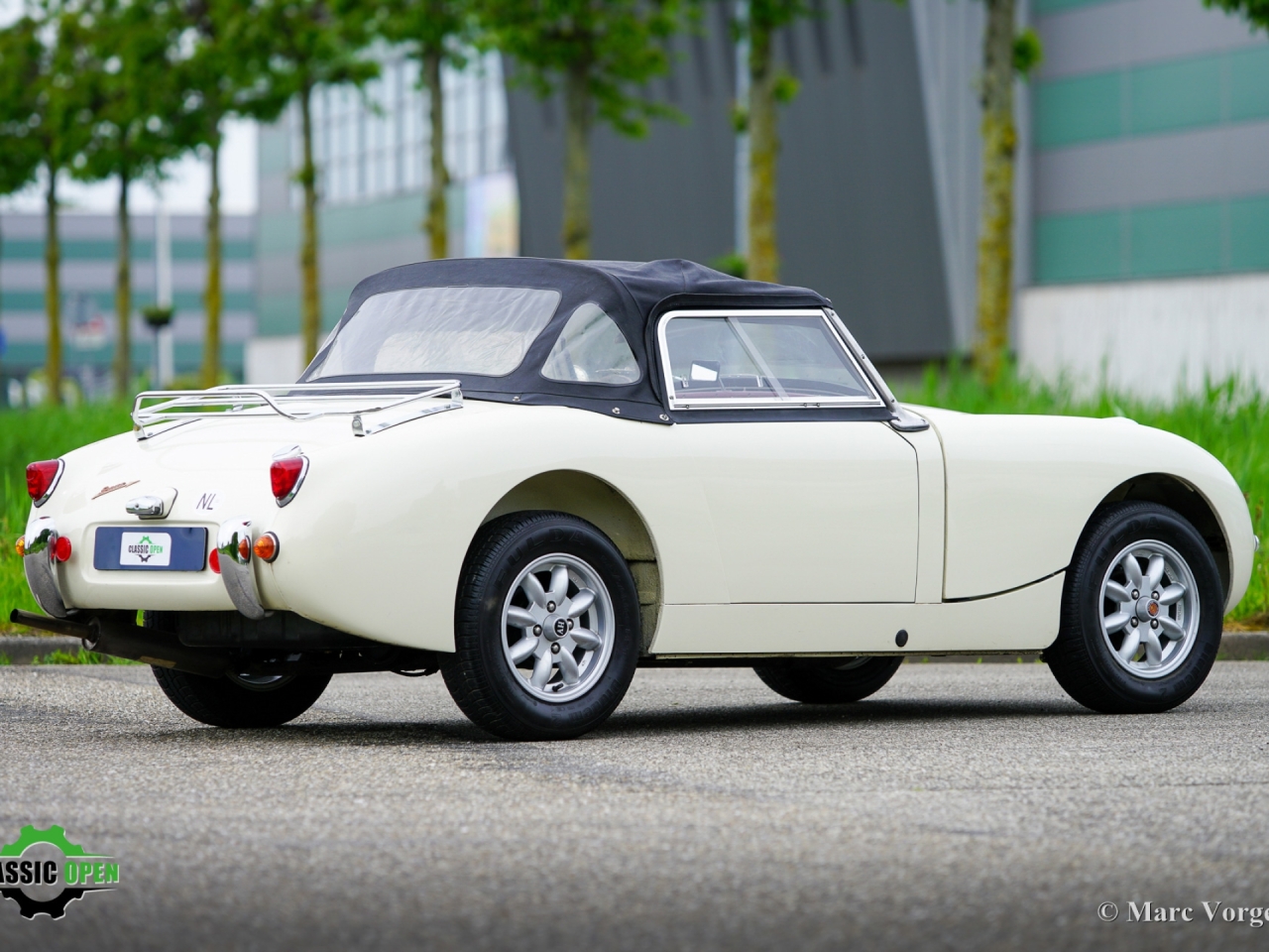 Austin Healey Sprite Mk1 Frogeye