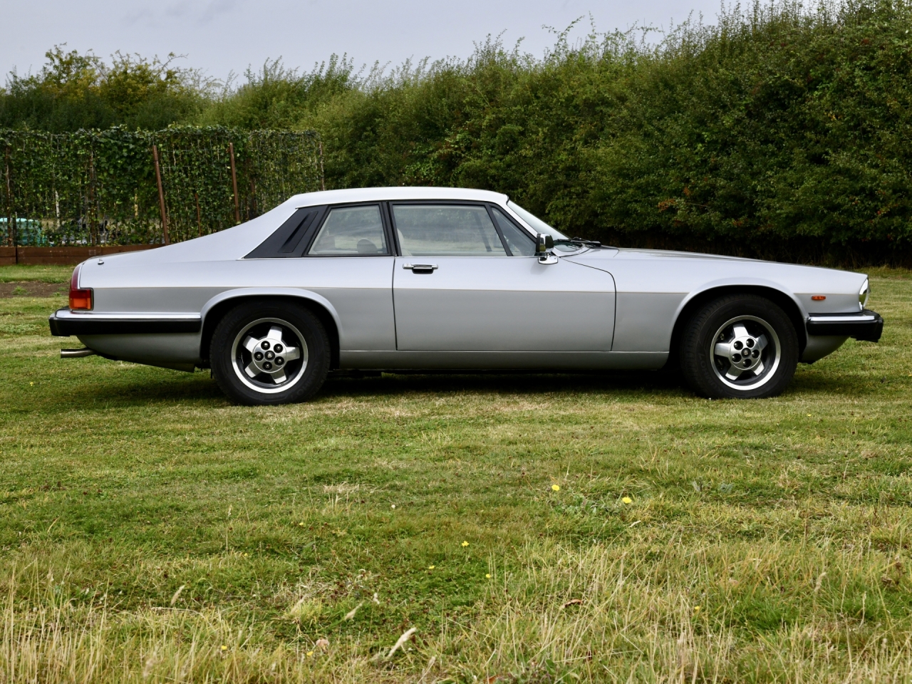 Jaguar XJS HE V12 Coupe