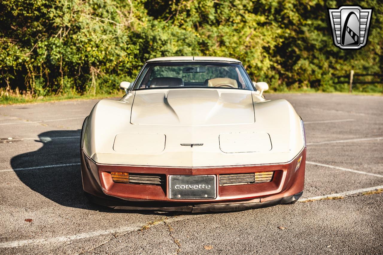 1981 Chevrolet Corvette