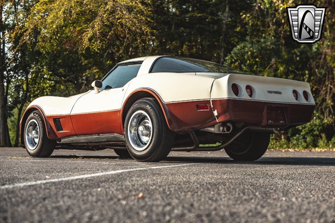 1981 Chevrolet Corvette