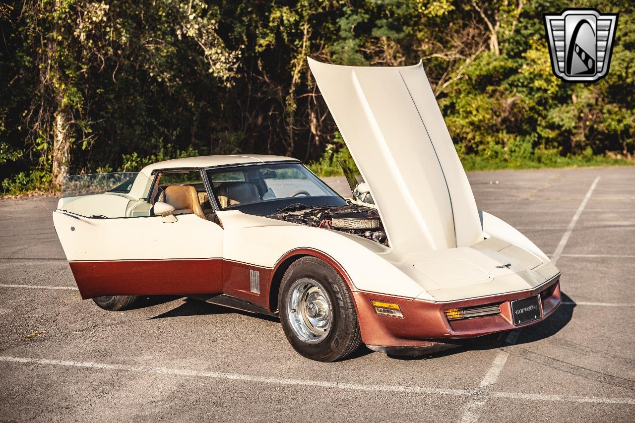 1981 Chevrolet Corvette