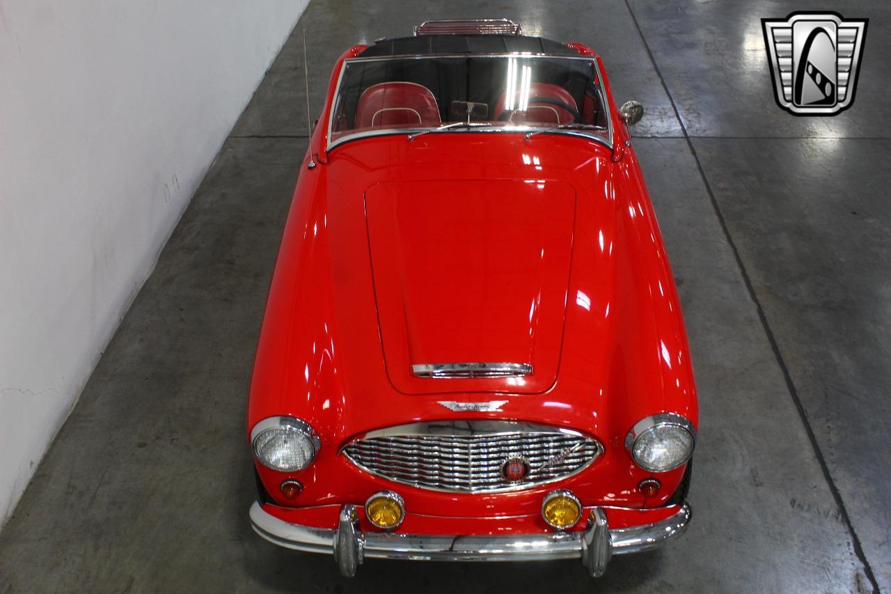 1960 Austin - Healey 3000