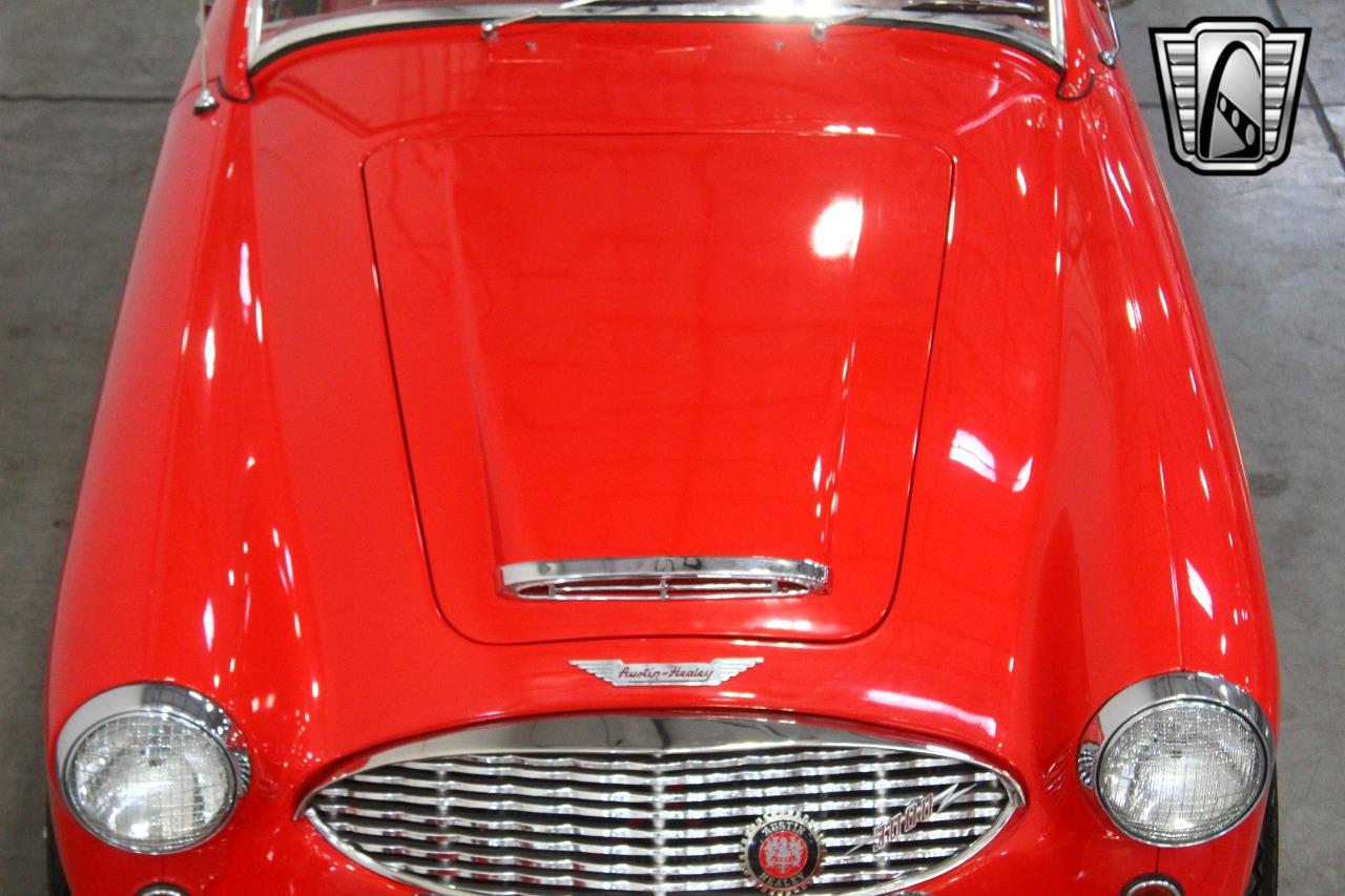 1960 Austin - Healey 3000