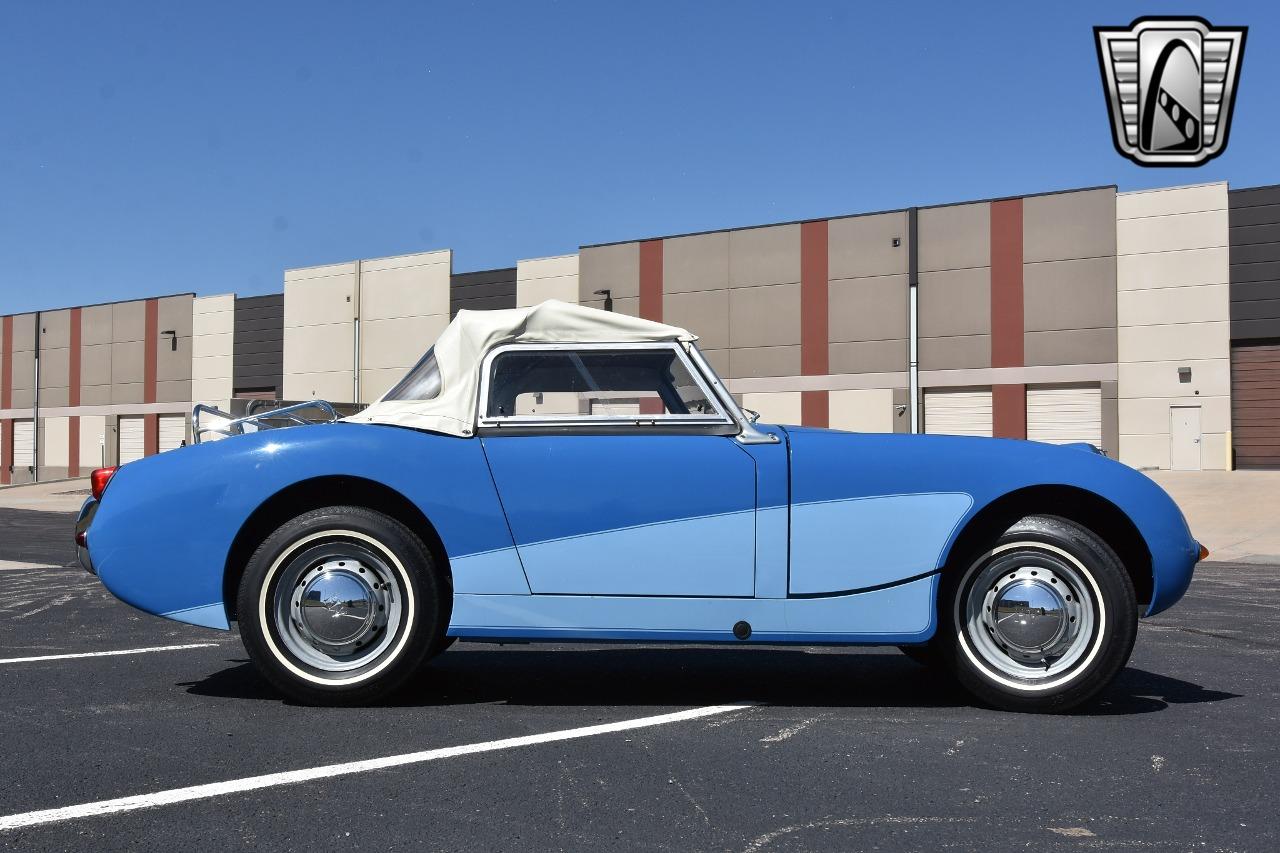 1959 Austin - Healey Sprite