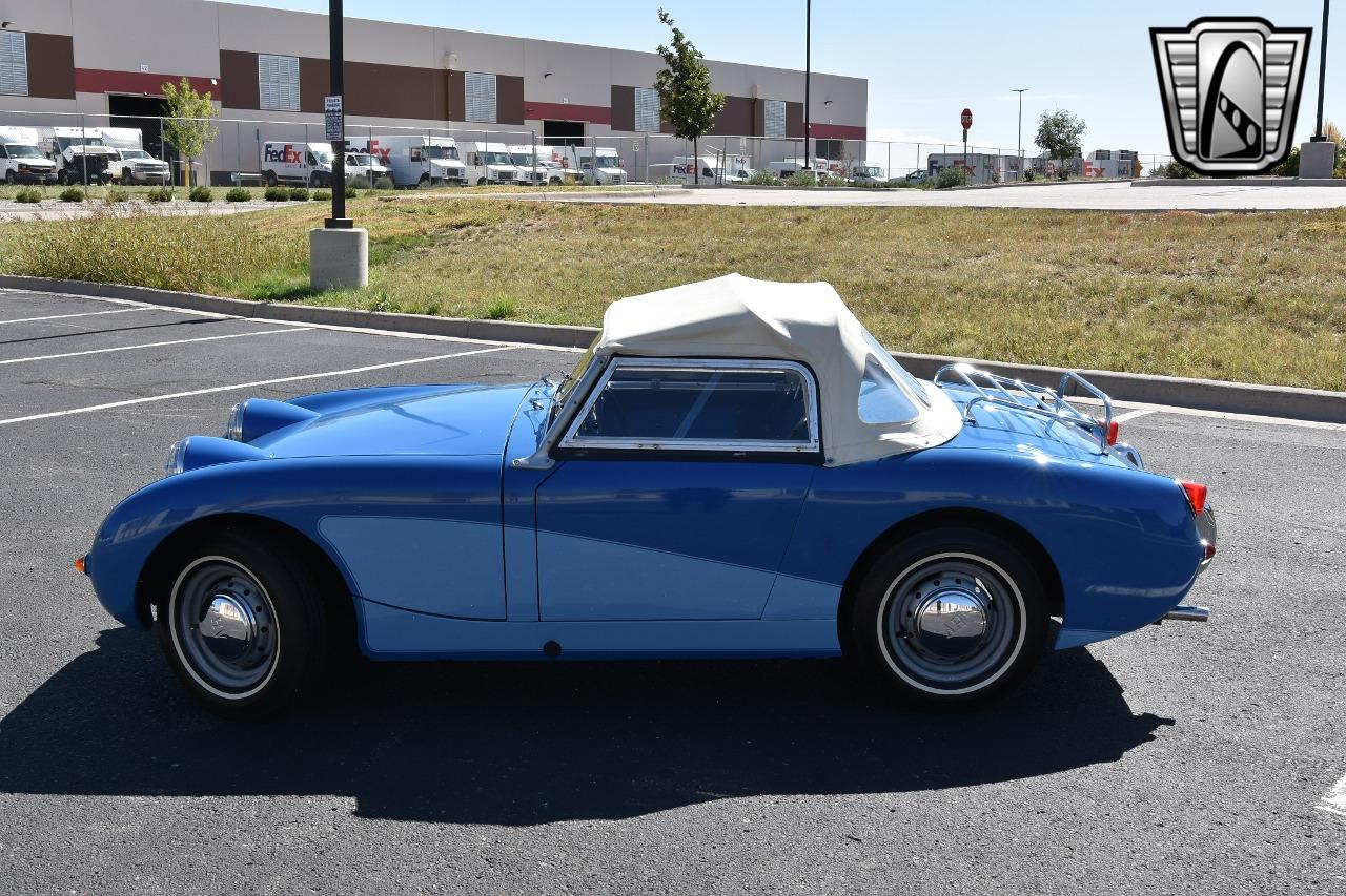 1959 Austin - Healey Sprite