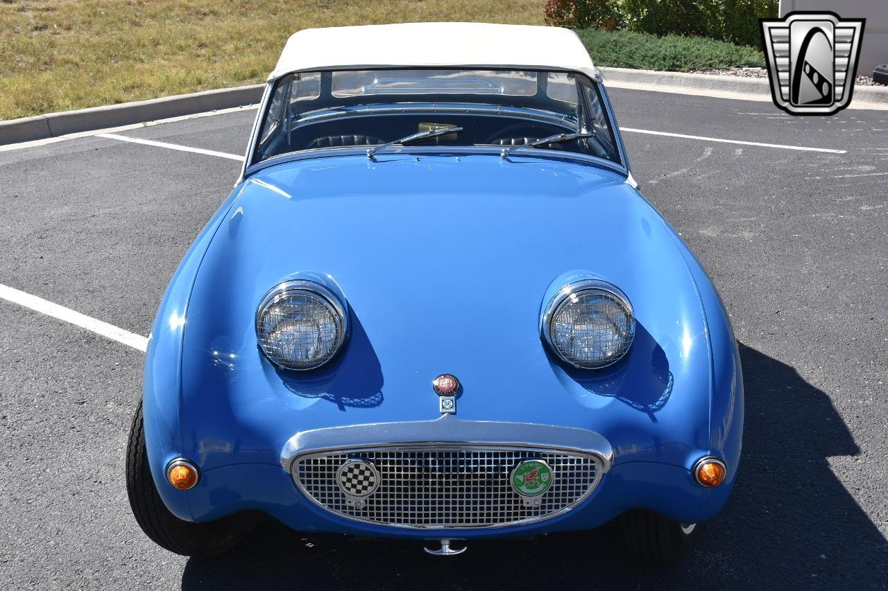 1959 Austin - Healey Sprite