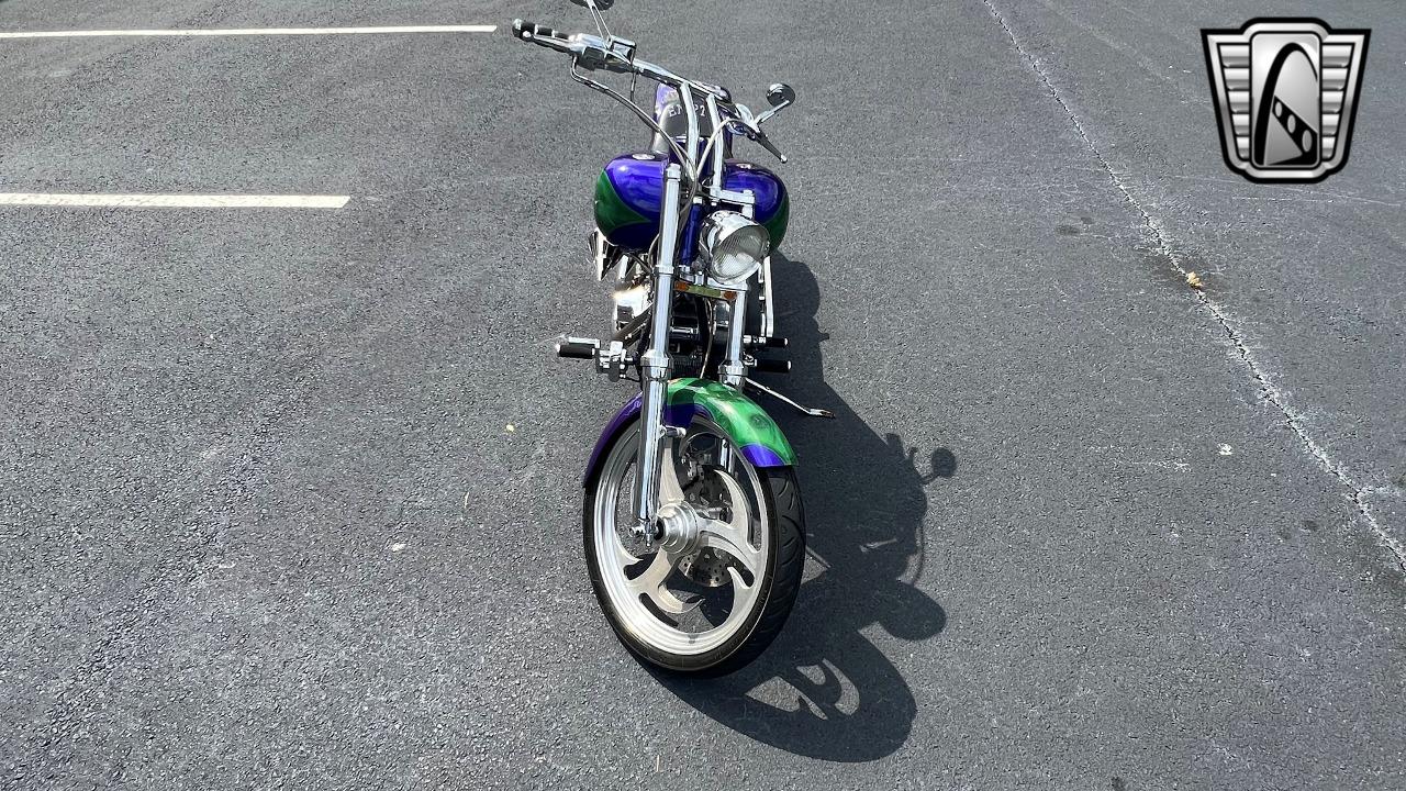 2009 EAST COAST CHOPPER Savage