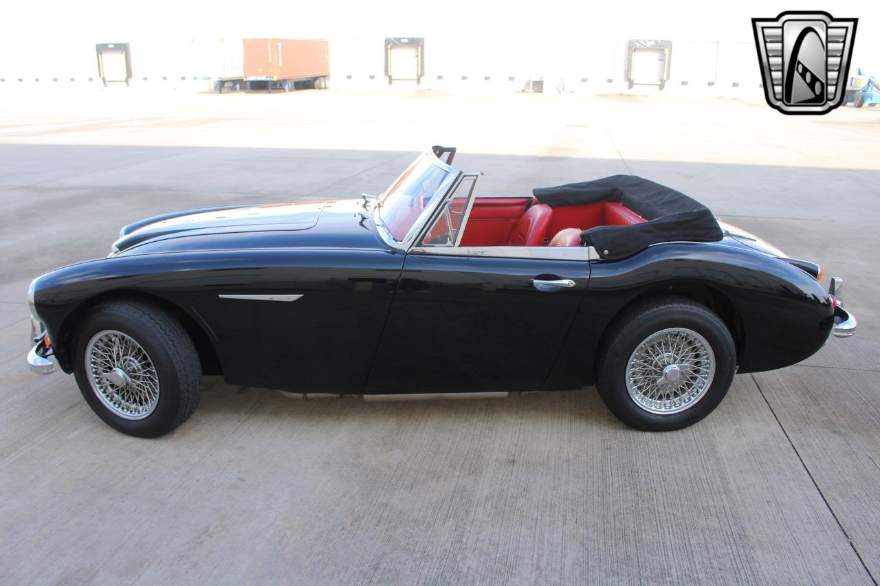 1965 Austin - Healey 3000