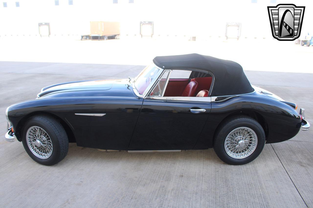 1965 Austin - Healey 3000