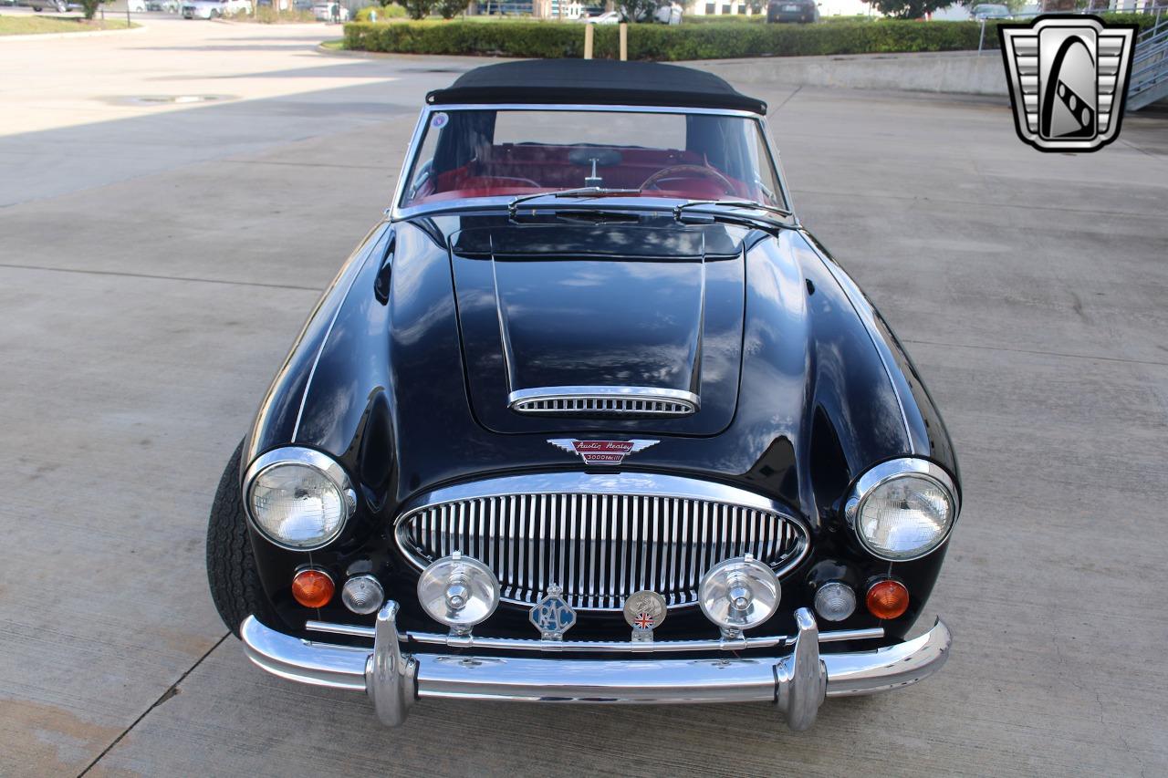 1965 Austin - Healey 3000