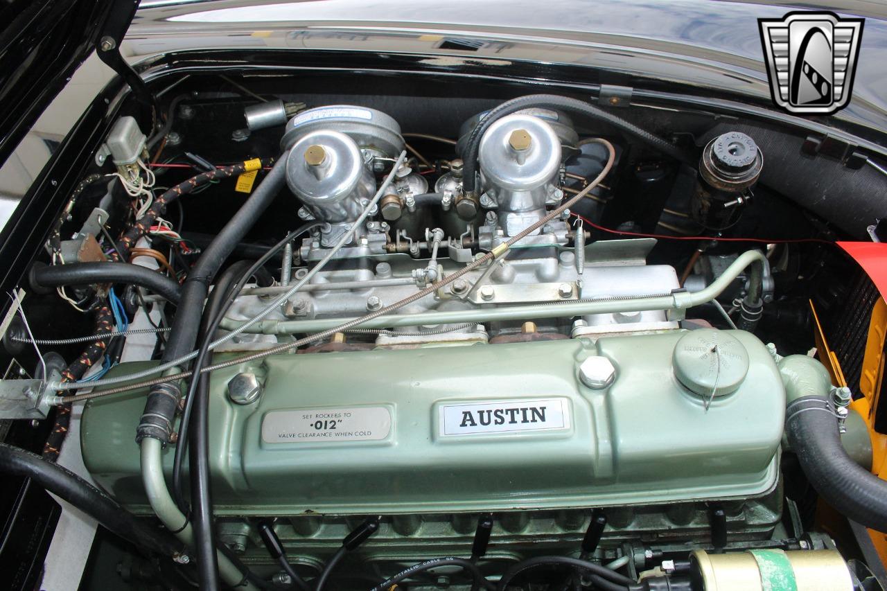 1965 Austin - Healey 3000