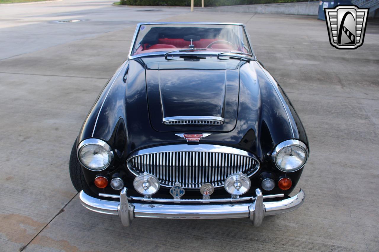 1965 Austin - Healey 3000