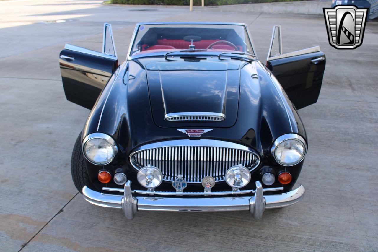 1965 Austin - Healey 3000