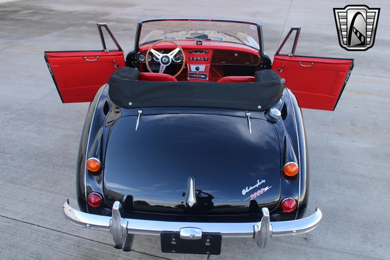 1965 Austin - Healey 3000