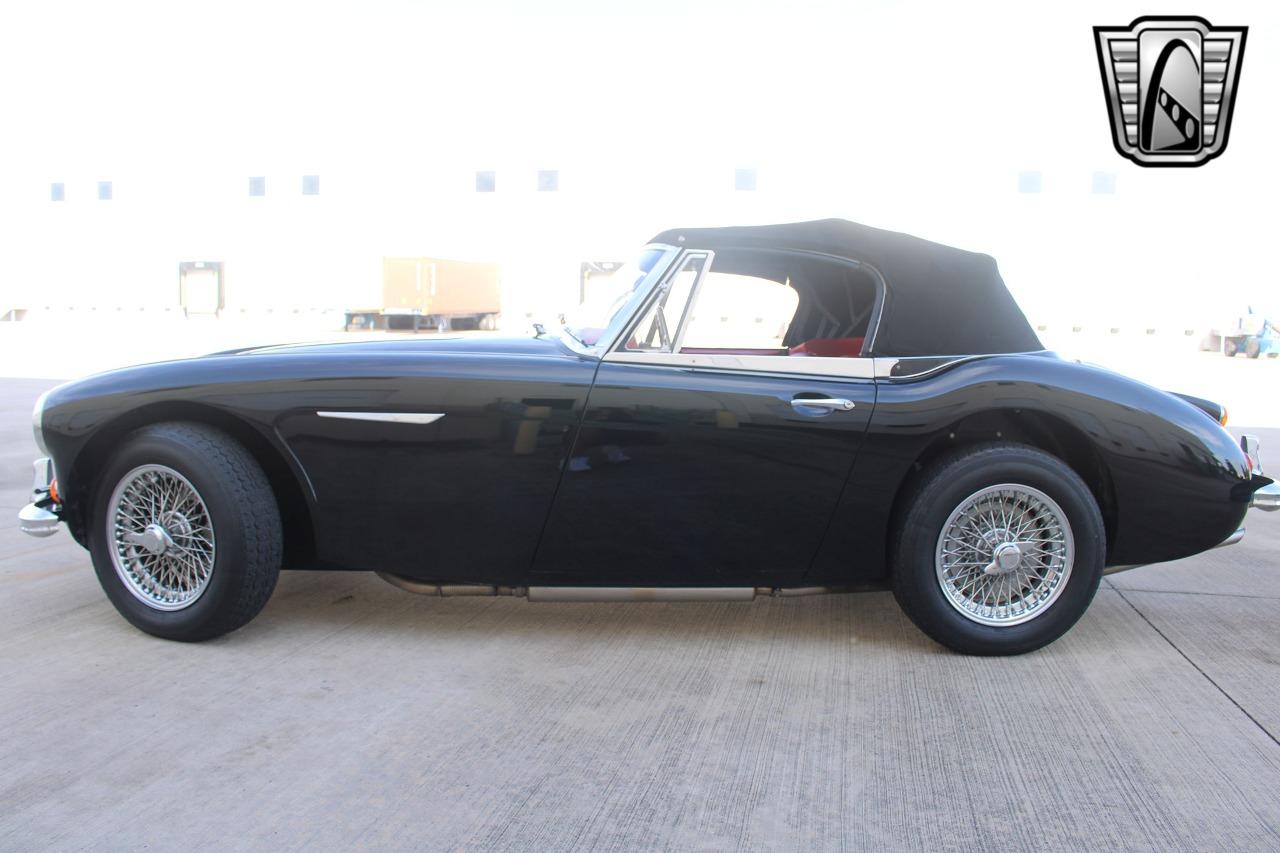 1965 Austin - Healey 3000