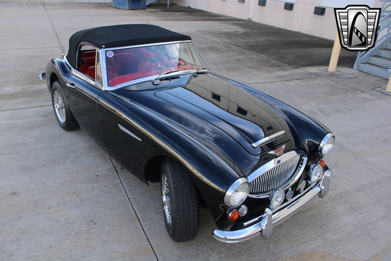 1965 Austin - Healey 3000