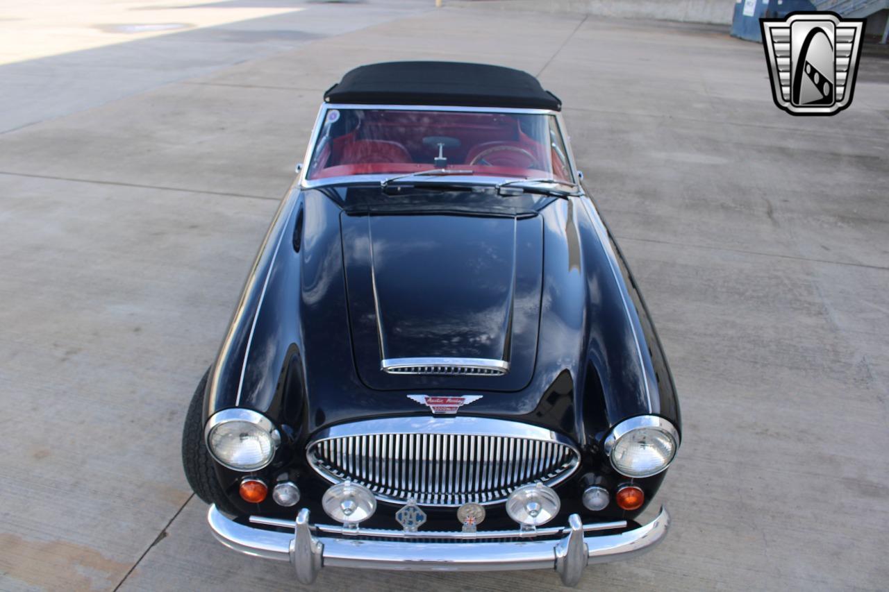 1965 Austin - Healey 3000