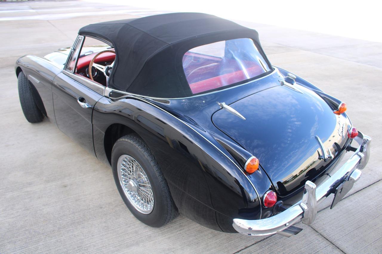 1965 Austin - Healey 3000