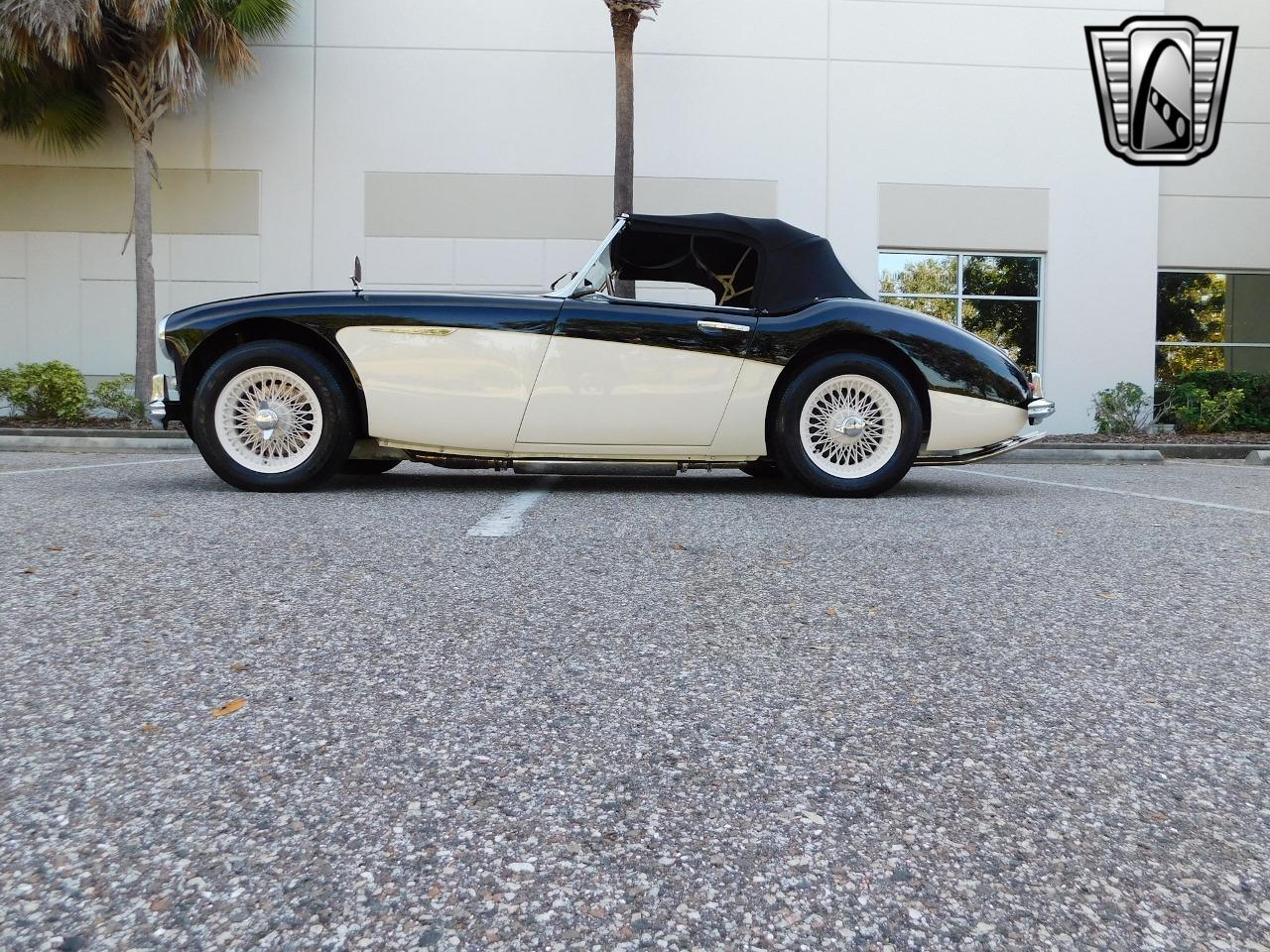 1960 Austin - Healey 3000