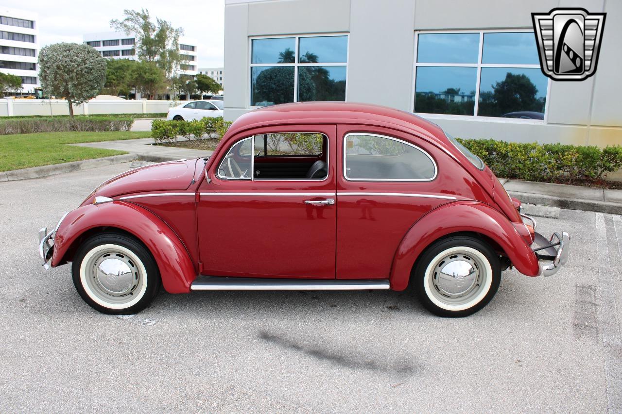 1969 Volkswagen Beetle