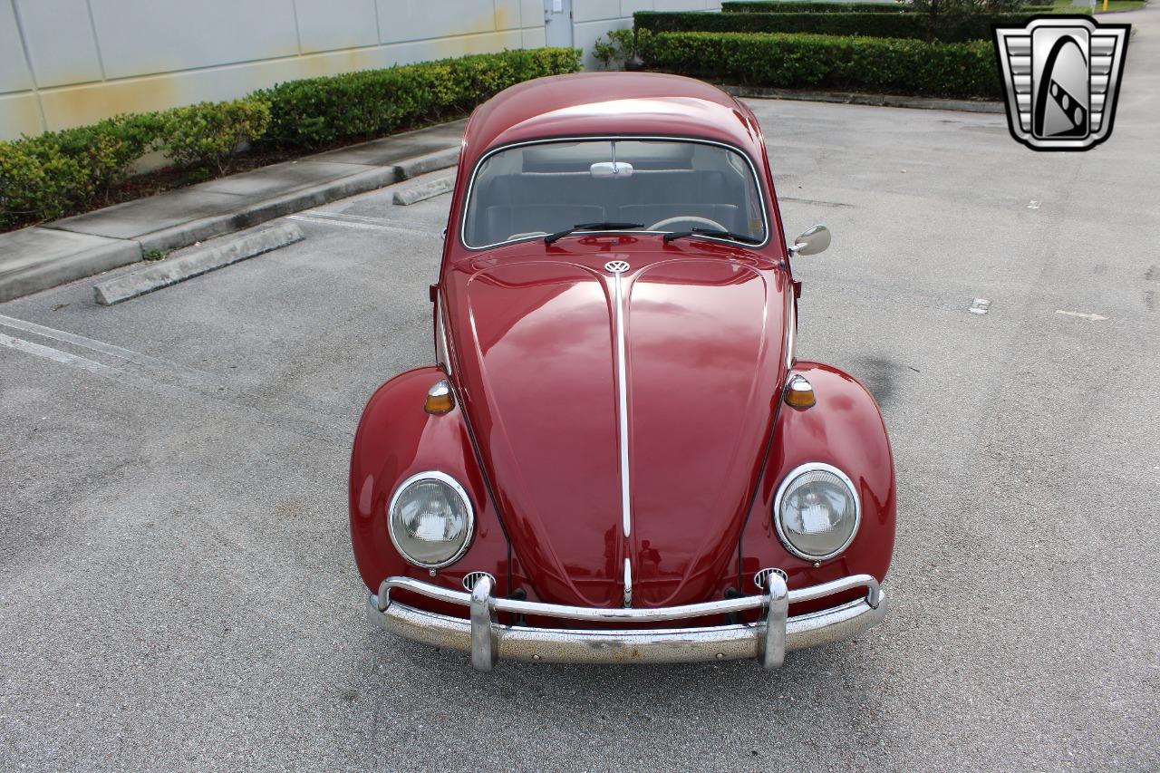 1969 Volkswagen Beetle