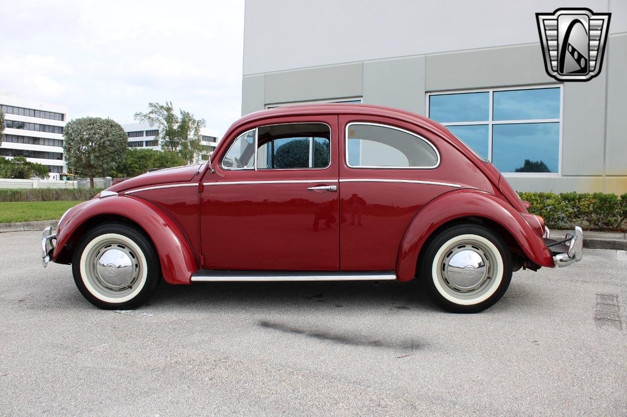 1969 Volkswagen Beetle