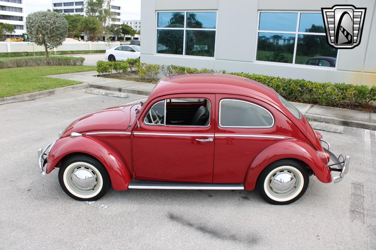 1969 Volkswagen Beetle