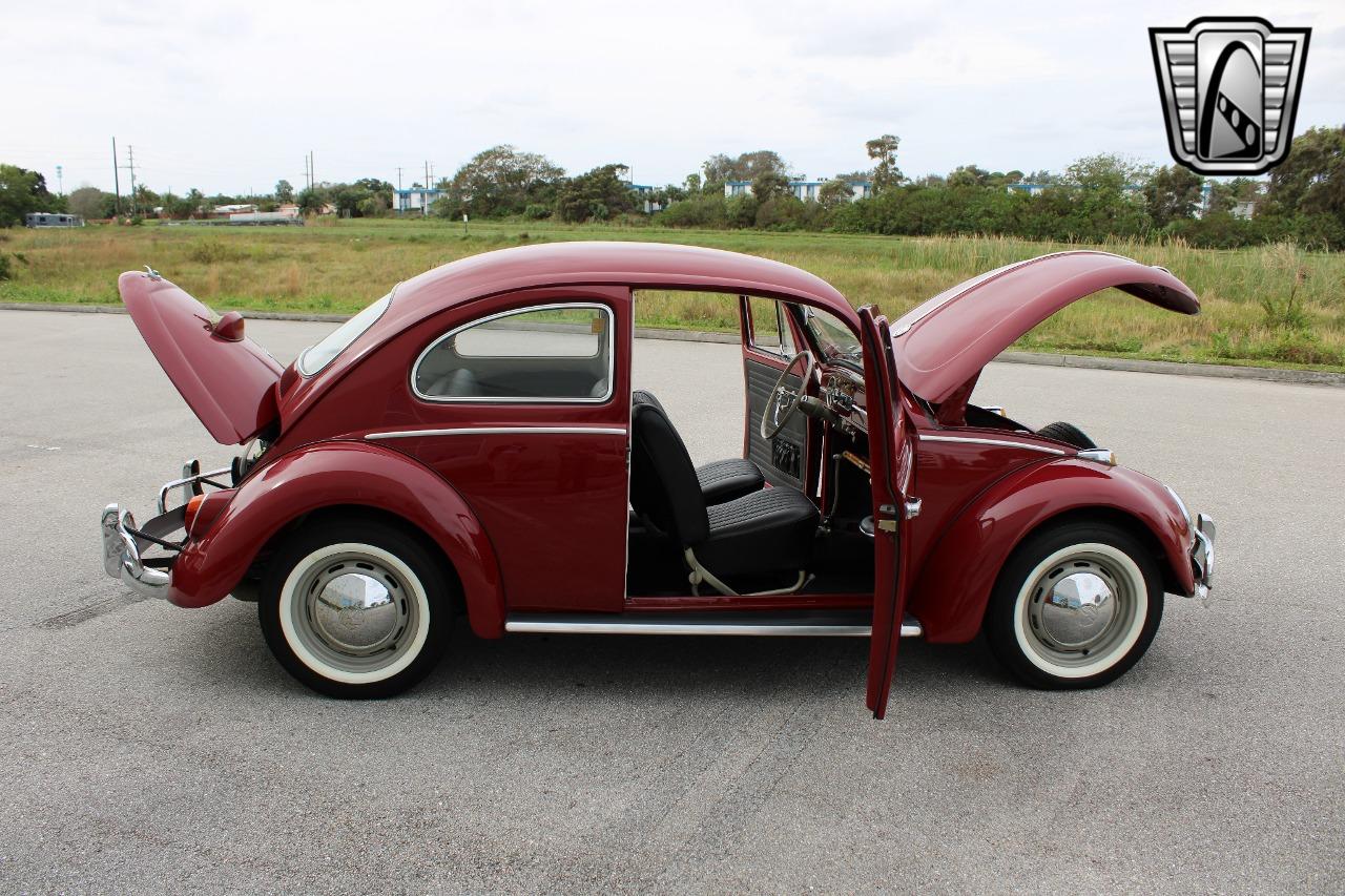 1969 Volkswagen Beetle