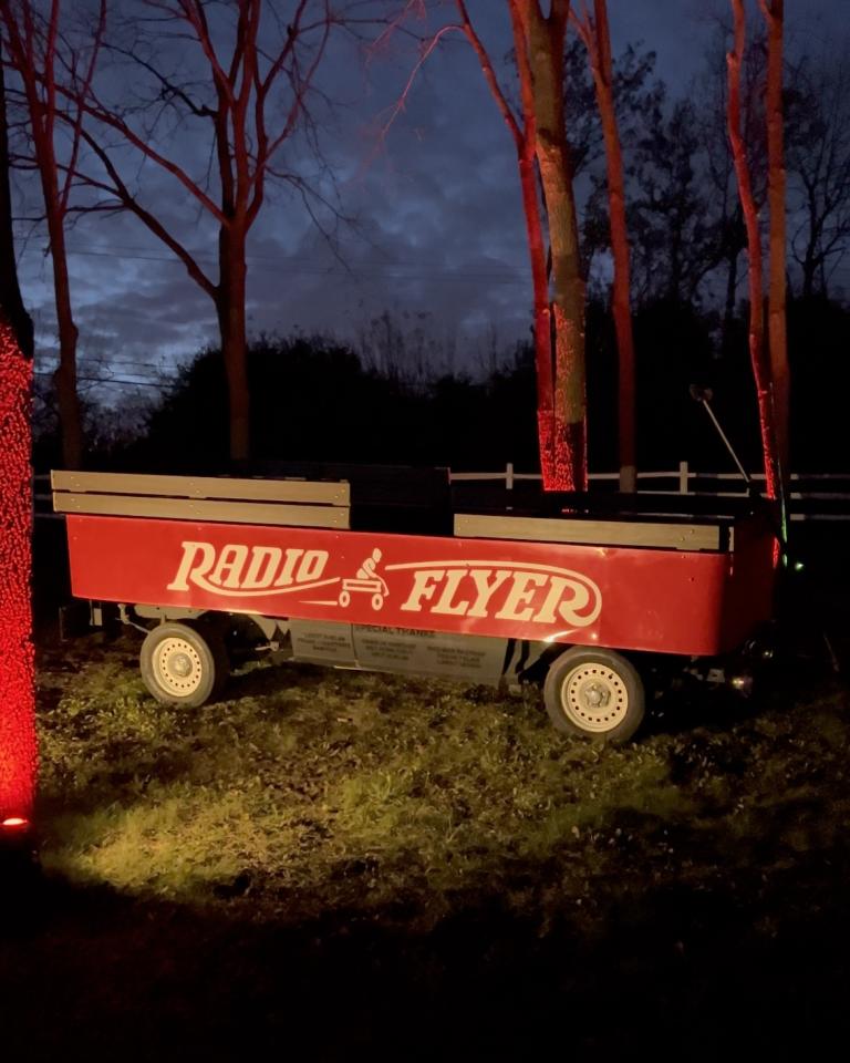 1993 Ford Radio Flyer