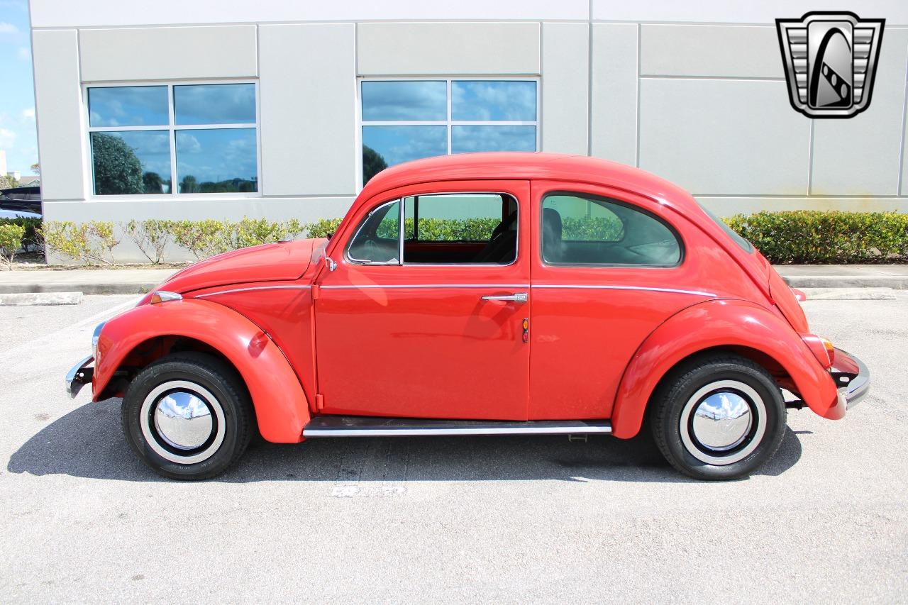 1971 Volkswagen Beetle