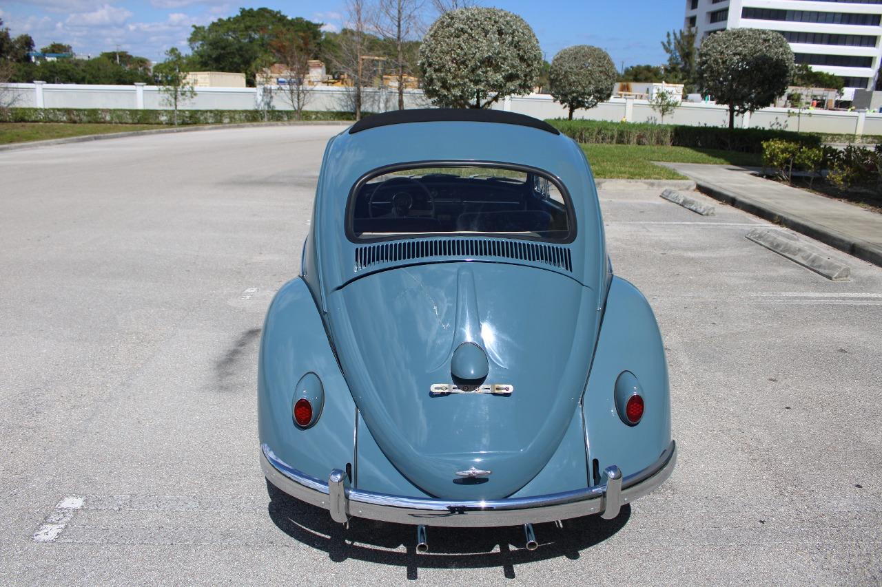 1959 Volkswagen Beetle