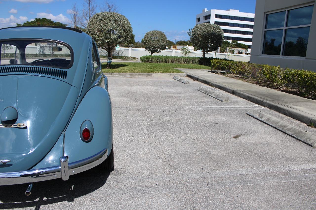 1959 Volkswagen Beetle