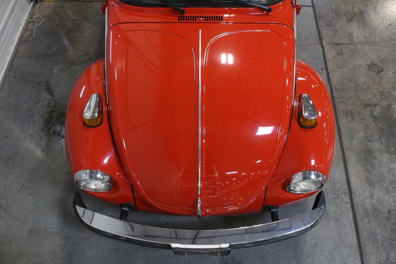 1979 Volkswagen Beetle