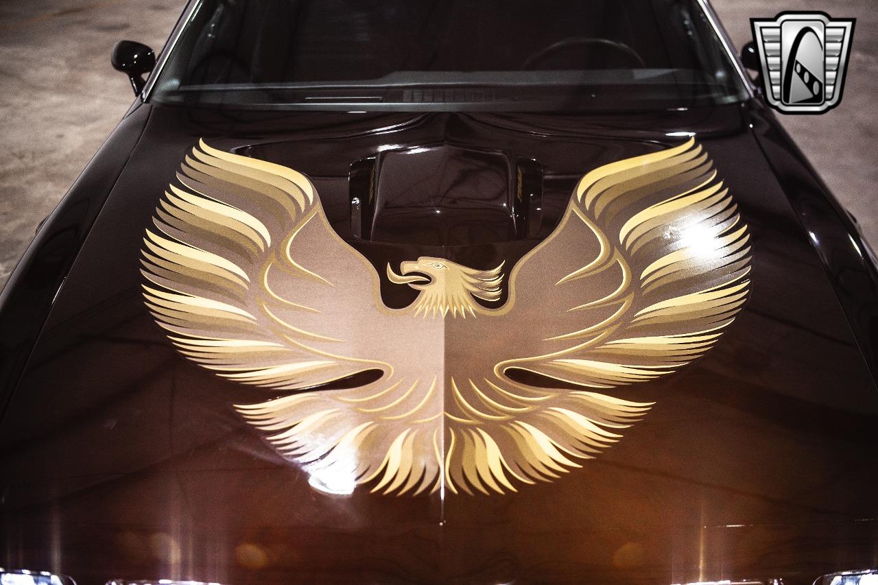 1979 Pontiac Firebird