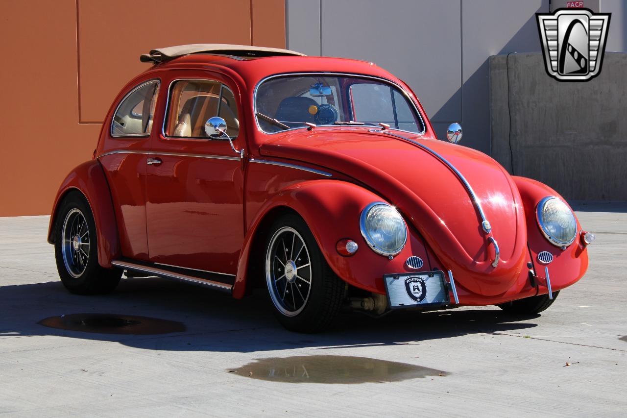 1966 Volkswagen Beetle