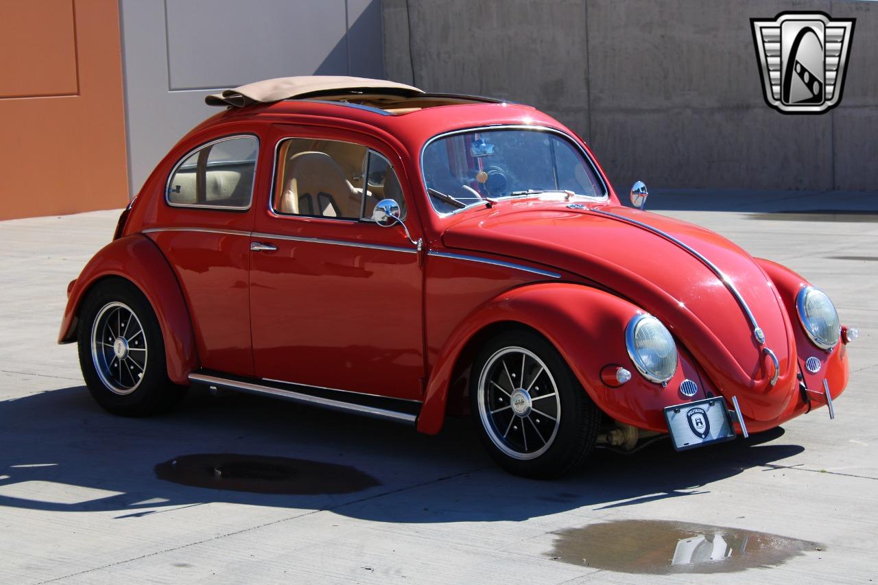 1966 Volkswagen Beetle